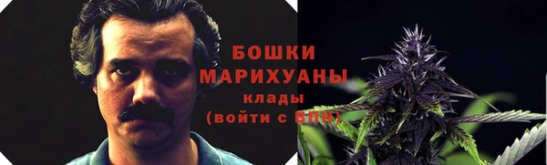 крисы Абдулино