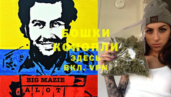 крисы Абдулино