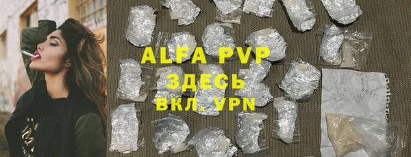 крисы Абаза
