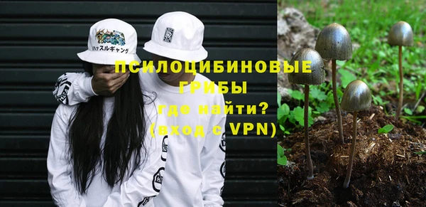 крисы Абаза