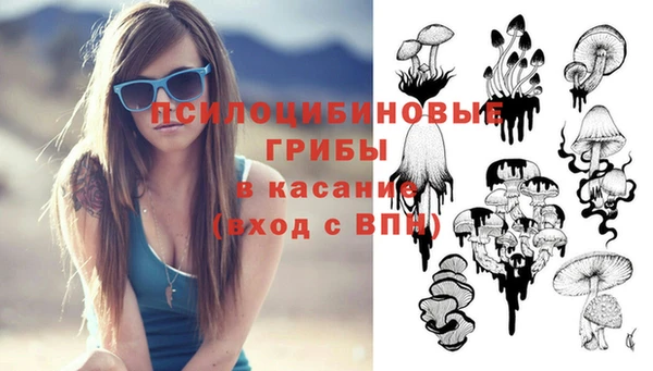 крисы Абдулино