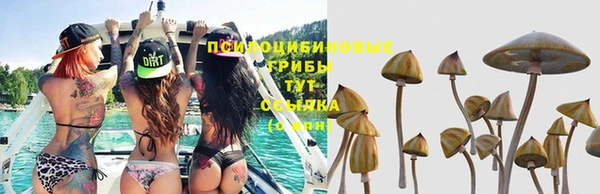 крисы Абдулино