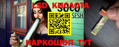 спиды Краснознаменск
