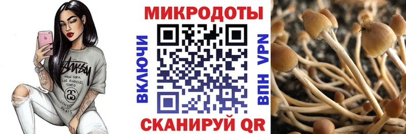 гидра зеркало  Дубна  Галлюциногенные грибы мухоморы 