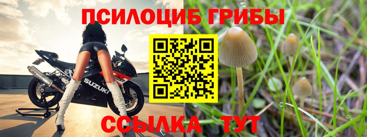 Галлюциногенные грибы прущие грибы  Вход с VPN  Галлюциногенные грибы Psilocybe  Дубна 