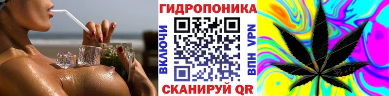 сколько стоит  Дубна  Конопля планчик 